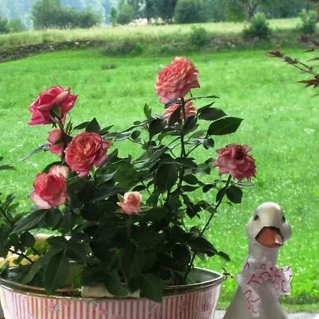 Alpenrose In Huaterhof Prázdninový dům Zell am Ziller