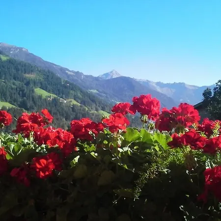 Prázdninový dům Alpenrose In Huaterhof *