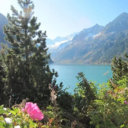 Alpenrose In Huaterhof *