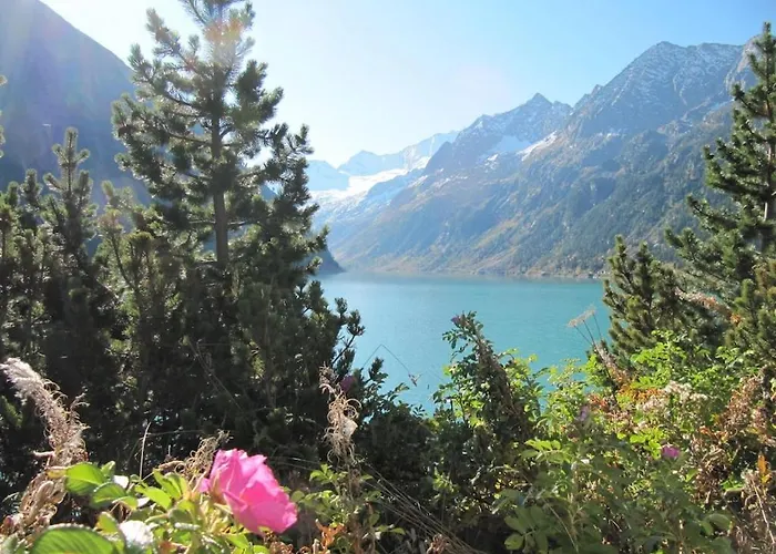 Alpenrose In Huaterhof *