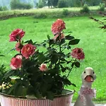 Alpenrose In Huaterhof בית נופש צל אם צילר