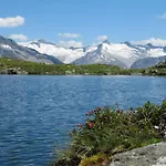 Alpenrose In Huaterhof * צל אם צילר